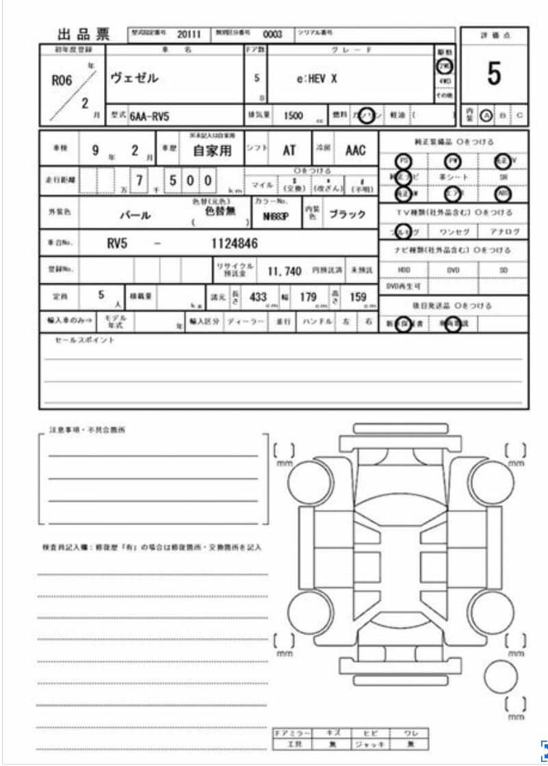 Option Certificate